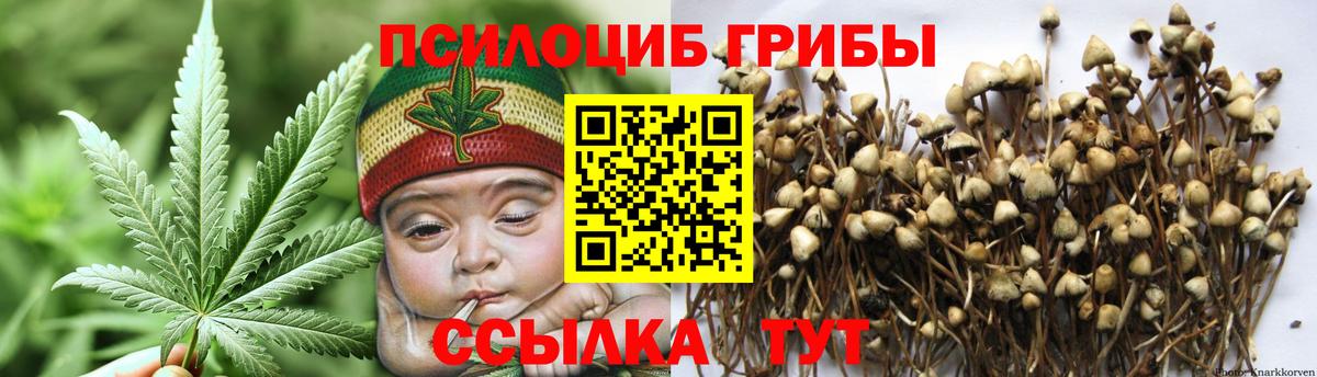 Псилоцибиновые грибы Magic Shrooms  где найти   Москва  Вход с VPN 