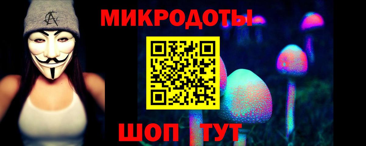 Галлюциногенные грибы мухоморы Москва